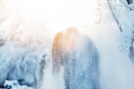 Про зимний день